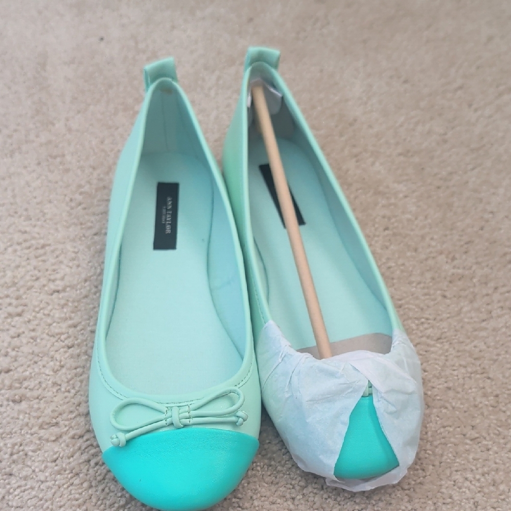 Ann Taylor Sea Glass Ballet Flats